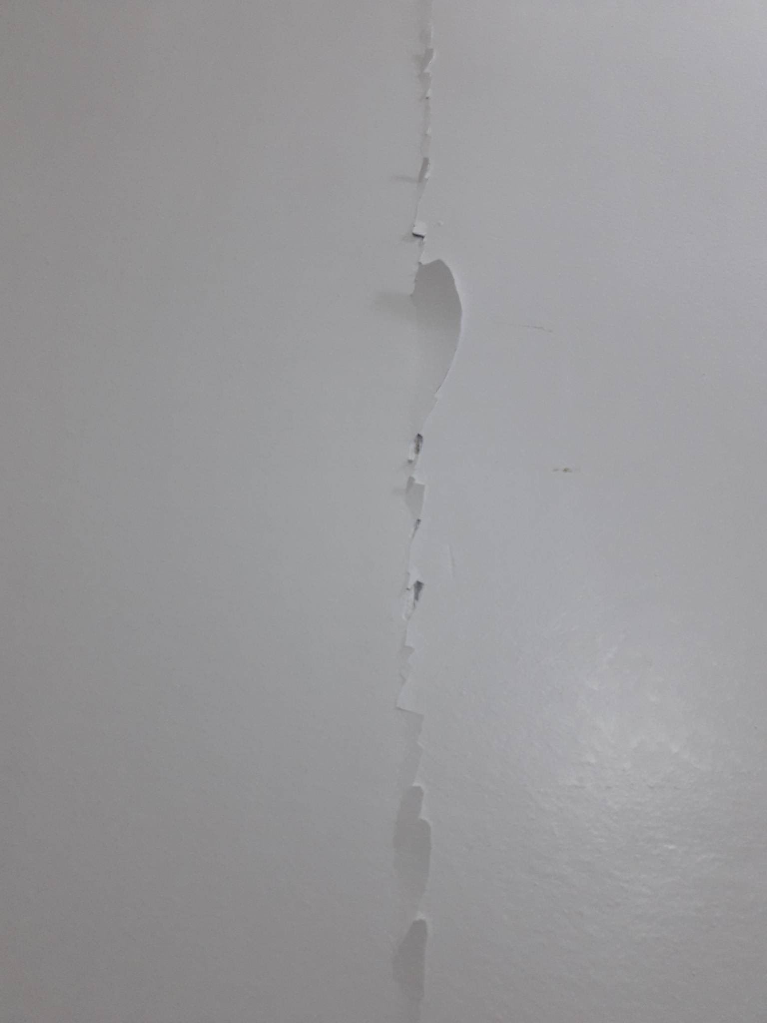 Hairline cracks. Is it falling down?